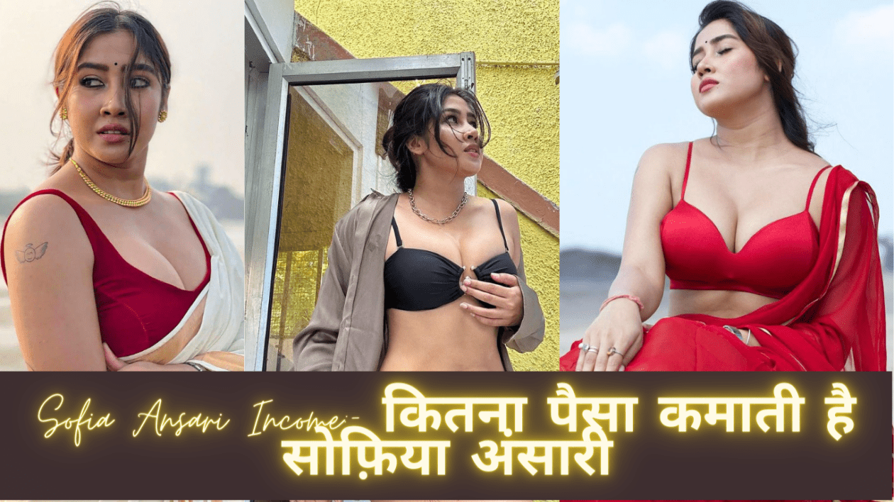 Sofia Ansari Income:- कितना पैसा कमाती है सोफ़िया अंसारी